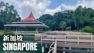 MacRitchie Reservoir Singapore  新加坡麦里芝蓄水池 [upl. by Haiacim170]