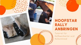 Hufbearbeiter Tutorial Hoofstar Klebebeschlag anbringen und abnehmen  FAQ  Hoofstar [upl. by Graubert]