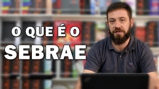 O que é o Sebrae [upl. by Sregor604]