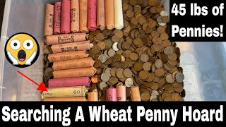 Searching a Wheat Penny Hoard [upl. by Florina]