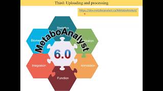 Tutorial Metaboanalyst R [upl. by Markson]