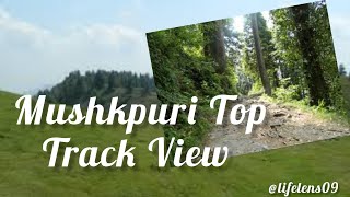 Mushkpuri Top  Mushkpuri Top Track  Mushkpuri Hiking  Mushkpuri Top View [upl. by Cynar299]