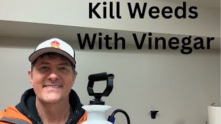 Kill Weeds With Vinegar [upl. by Yelats417]