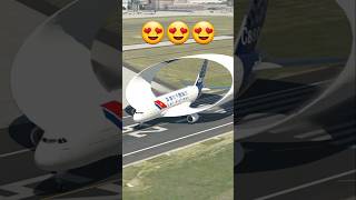 Amazing Facts About Airplanes  How Do They Fly  FactShorts [upl. by Etnahsa]