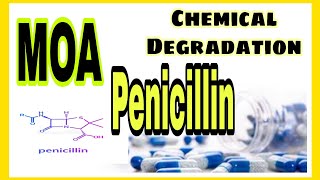 Mechanism of action of Penicillin  Chemical Degradation  Antibiotic Betalactam part 5  Medichem [upl. by Amble]