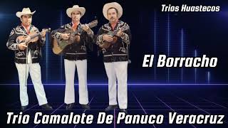 El Borracho Trio Camalote De Panuco Veracruz [upl. by Hazard]