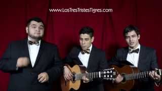 Los Tres Tristes Tigres  Como no voy a quererla Las Suegras [upl. by Onairpic]