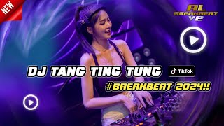 DJ TANG TING TUNG  DUGEM BREAKBEAT TERBARU 2024 FULL BASS VIRAL TIKTOK [upl. by Buller]