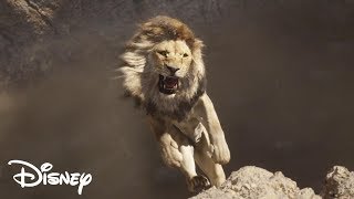 El Rey León 2019  Scar mata a Mufasa Español Latino [upl. by Leftwich]