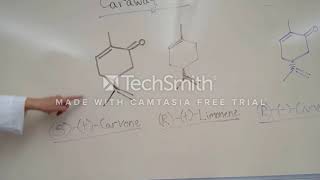 Intro separation of carvone and limonene in caraway oil [upl. by Bardo]