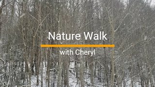 Nature Walk with Cheryl  Snow in the Appalachian Mountains asmr snowfall appalachian mountains [upl. by Kotz]