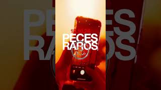 PECES RAROS EN COSTA RICA [upl. by Griggs]