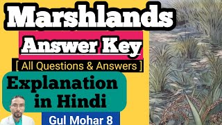 Marshlands  all answer key [upl. by Gladdy]