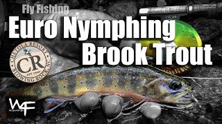 W4F  Euro Nymphing for Brook Trout with Chetola Resort at Blowing Rock [upl. by Llewol537]