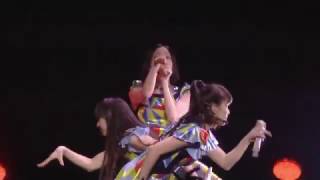 Perfume Nee Live [upl. by Past]