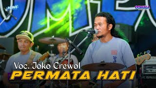 Permata Hati  Joko Crewol ft Omega Music Live Randu Padangan [upl. by Norrehs]