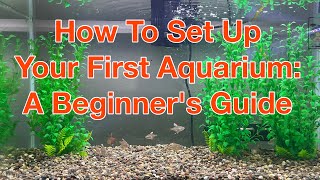 How To Set Up Your First Aquarium A Beginners Guide [upl. by Secunda645]