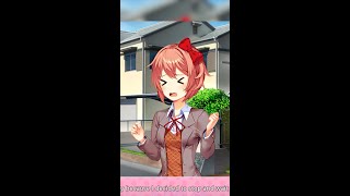 ITS NOT FINE  BZC gaming dokidokiliterature [upl. by Pendergast460]