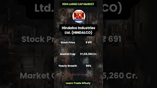 Large Cap Stocks  Hindalco Industries ltd  2024  Part 35 [upl. by Hammond980]