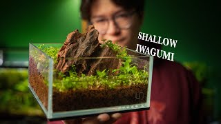 First time attempting a shallow Iwagumi scape [upl. by Pudens755]