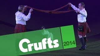 Heelwork to Music  Mary Ray and Richard Curtis  Crufts 2014 [upl. by Anaele]