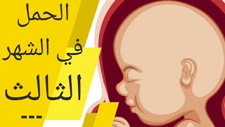 الحمل في الشهر الثالث alhaml fi chahr 3  الجنين في الشهر الثالث اعراض الحمل في الشهر الثالث وتطوره [upl. by Larkins]