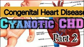 CONGENITAL HEART DISEASE CYANOTIC CHD Simplified in HINDI [upl. by Jadwiga]