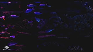 Dark Aquarium with Beautiful Fish  Relaxing Water Stream Noise  10 Hour Sleep Sound [upl. by Calan]