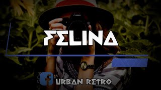 Felina Hector y Tito LetraLyrics [upl. by Yerffoj]