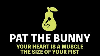 Pat the Bunny  Your Heart is A Muscle the Size of Your Fist Karaoke [upl. by Davidoff]