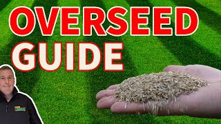 Beginners guide to overseeding a lawn and everything you need to get it RIGHT [upl. by Acsecnarf]