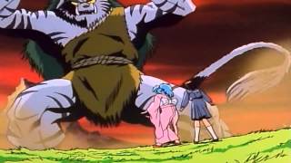 Yu Yu Hakusho Opening 1 [upl. by Nnadroj]