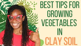 Tips to Grow Vegetables in Clay Soil [upl. by Ahsemik]