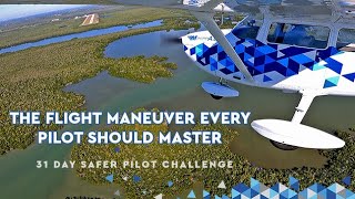 The One Flight Maneuver Every Pilot Should Master [upl. by Zamir]