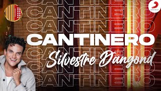 Cantinero Silvestre Dangond  Letra Oficial [upl. by Enimisaj]