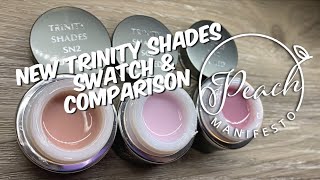 New Akzentz Trinity Shades swatch and comparison [upl. by Nasya946]