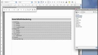 Automatisk innehållsförteckning i OpenOffice Writermp4 [upl. by Peyter512]