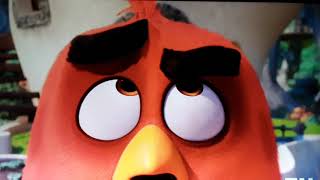 The angry birds movie 2016 end credits [upl. by Nomor881]