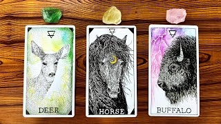 THE HONEST TRUTH ABOUT YOUR CURRENT SITUATION 🍀🌙🔮  Pick a Card Tarot Reading [upl. by Enirahtac425]