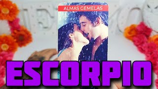 ESCORPIO ♏️ SE CONFIRMA ESTE ACCIDENTE PARA EL 8 DE OCTUBRE‼️🚨 HOROSCOPO ESCORPIO HOY TAROT AMOR [upl. by Riatsila]