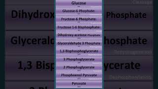 Glycolysis in 50 Seconds  shorts glycolysis cellularrespiration biology neet ncert cbse [upl. by Enom]