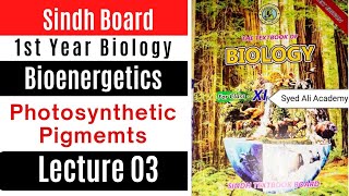 photosynthetic pigments  bioenergetics  class 11 biology Sindh text book board new book [upl. by Sekofski]