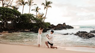 Proposing to my best friend in Hawaii [upl. by White]