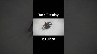 Taco Tuesday is ruined ffxiv ffxivmemes ff14 [upl. by Aiciram]