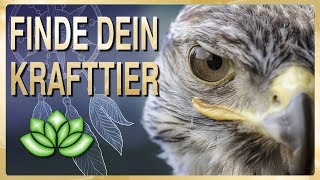 Finde dein Krafttier  geführte Schamanische Reise [upl. by Banna]