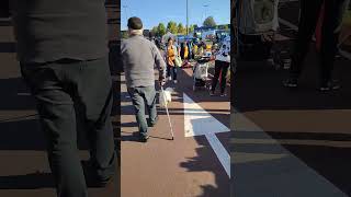 Un caniche blanc guide son propriétaire à travers le marché youtuber subscribedog [upl. by Neehsuan]