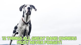 12 Things All Great Dane Owners Must Never Forget 🐕✨ [upl. by Anitsyrk671]