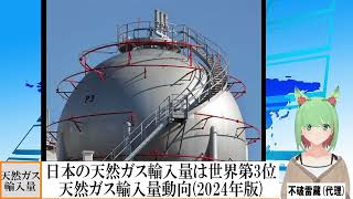 【動画News】日本の天然ガス輸入量は世界第3位…天然ガス輸入量動向2024年版20241219 [upl. by Yeltnerb735]