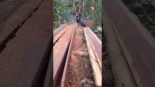 Skill Memotong Kayu Abang Ini Sudah Diatas Rata Rata [upl. by Rimahs]