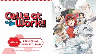 Cells at Work  Official Trailer 3 [upl. by Sidras]